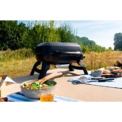Napoleon Gasgrill TRAVELQ 240 32 Napoleon Gasgrill TRAVELQ 240 -Optimal Grill Geschäft Napoleon Gasgrill TRAVELQ 240@@1872821 13