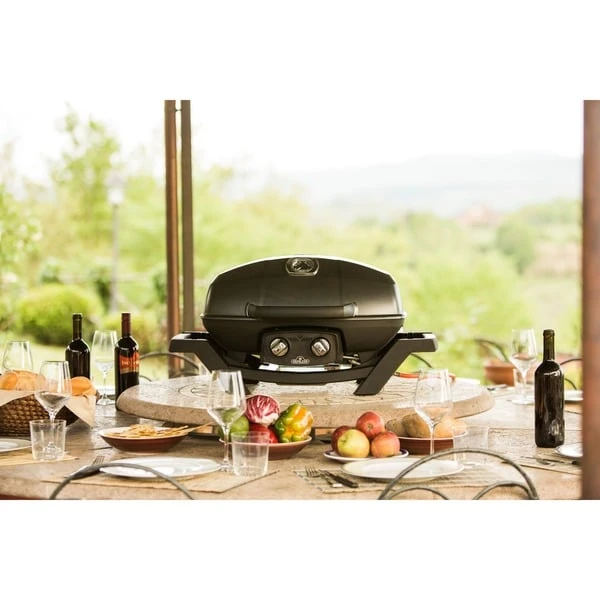 Napoleon Gasgrill TravelQ PRO285 15 Napoleon Gasgrill TravelQ PRO285 – Bild 13