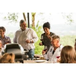 Napoleon Gasgrill TravelQ PRO285 35 Napoleon Gasgrill TravelQ PRO285 -Optimal Grill Geschäft Napoleon Gasgrill TravelQ PRO285@@9ggfen0o 16