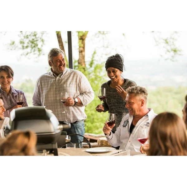 Napoleon Gasgrill TravelQ PRO285 18 Napoleon Gasgrill TravelQ PRO285 – Bild 16