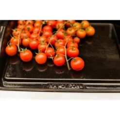 Napoleon Gusseisen-Plancha, Grillplatte -Optimal Grill Geschäft Napoleon Gusseisen Plancha Grillplatte@@9ggzzn0s 7