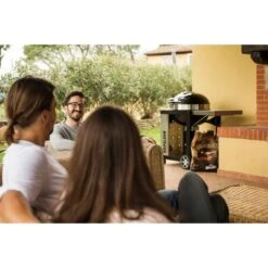 Napoleon Holzkohlegrill PRO22K, Im Rollwagen -Optimal Grill Geschäft Napoleon Holzkohlegrill PRO22K im Rollwagen@@9ggffn01 16