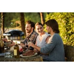 Napoleon Holzkohlegrill PRO22K, Im Rollwagen -Optimal Grill Geschäft Napoleon Holzkohlegrill PRO22K im Rollwagen@@9ggffn01 19