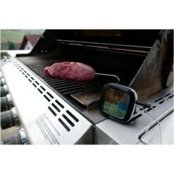 TFA Digitales Grill-Bratenthermometer 14.1509 -Optimal Grill Geschäft TFA Digitales Grill Bratenthermometer 14 1509@@1914083 2