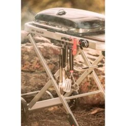 Weber Gasgrill Traveler Black -Optimal Grill Geschäft Weber Gasgrill Traveler Black@@1694181 17
