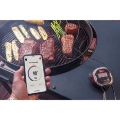 Weber IGrill 2 Mit Zwei Messfühlern 7221, Thermometer -Optimal Grill Geschäft Weber iGrill 2 mit zwei Messf hlern 7221 Thermometer@@1303166 10